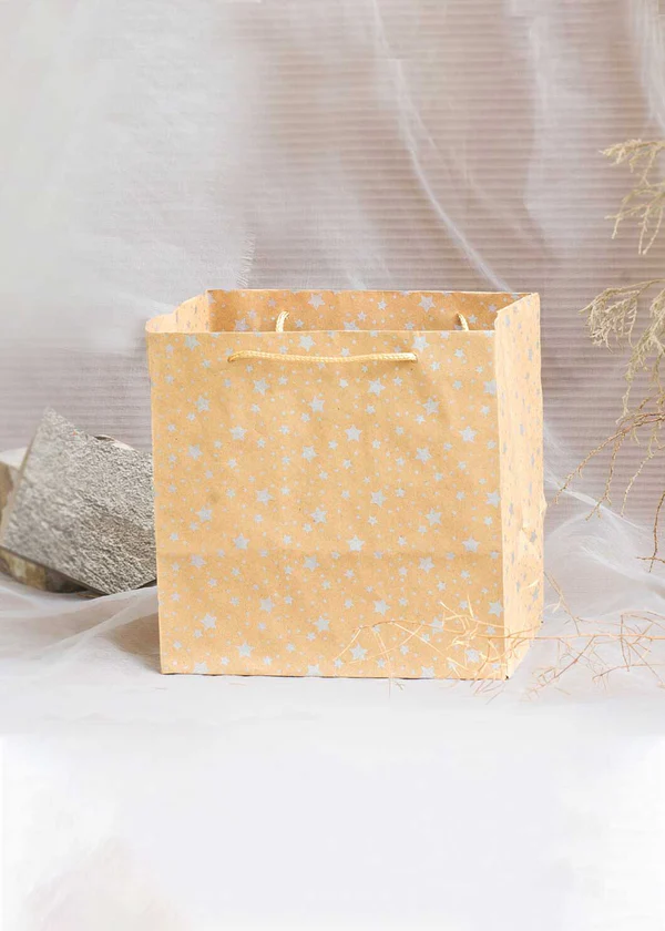 H03 15 (5.5"x7.5"x7.5") Kraft Gift Bag | Perfect for Birthday Gifts, Party Favors, Small Retail Items, Promotional Giveaways and Everyday Use