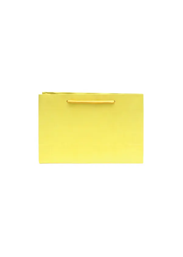 H29 30