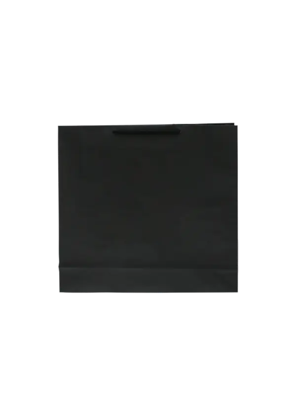 H31 09
