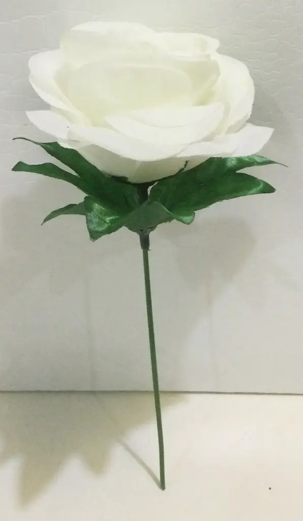 Flowers F01 White