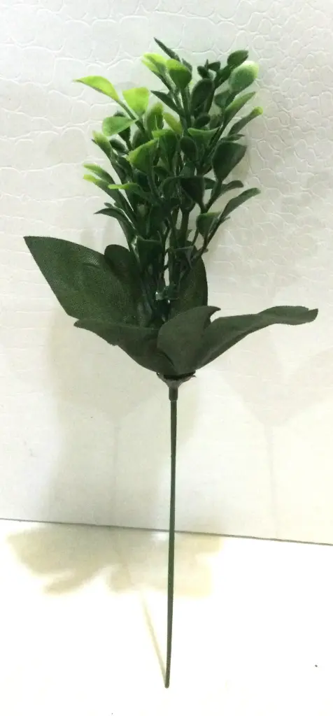 Flowers F06