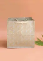 H04 15 (8"x8"x8") Kraft Gift Bag | Perfect for Medium Items, Books, Accessories, Cosmetic Sets, Small Planters and Thoughtful Gifts