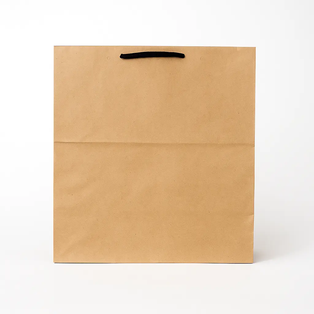 H08 04 (10"x11"x10") Kraft Gift Bag | Perfect for Medium to Large Items, Apparel, Home Goods and Special Occasion Gifts 