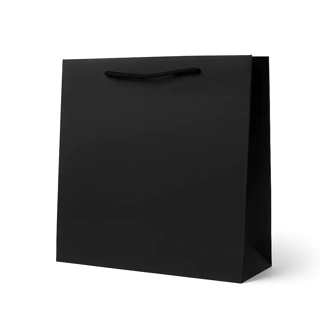 [H1706000000] H17 06 (4"x13"x12.5") Black Gift Bag | Perfect for  Birthday, Convocation, Wedding, Corporate, Special Occasion Gifting