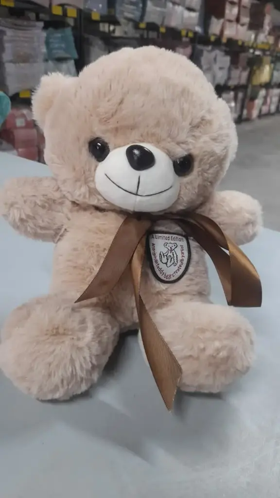 Toy Teddy Bear New (S)