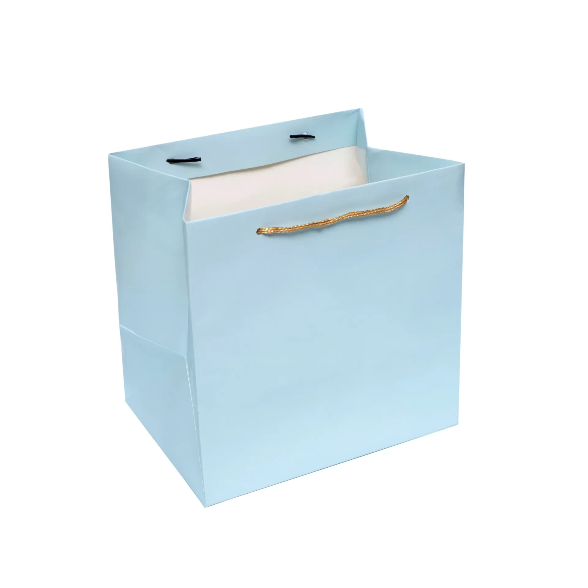 [H0422BLUE00] H04 22 (8"x8"x8") Blue Plain Gift Bag | Perfect for Medium Items, Books, Accessories, Cosmetic Sets, Small Planters and Thoughtful Gifts