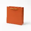 H30 30 (2"x7"x5") Orange Gift Bag | Perfect for  Birthday, Everyday Gifting, Wedding, Corporate, Special Occasion Gifting