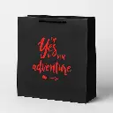 H31 08 (4"x14"x13") Black Gift Bag | Perfect for  Wedding, Graduation, New Beginnings, Special Occasion Gifting