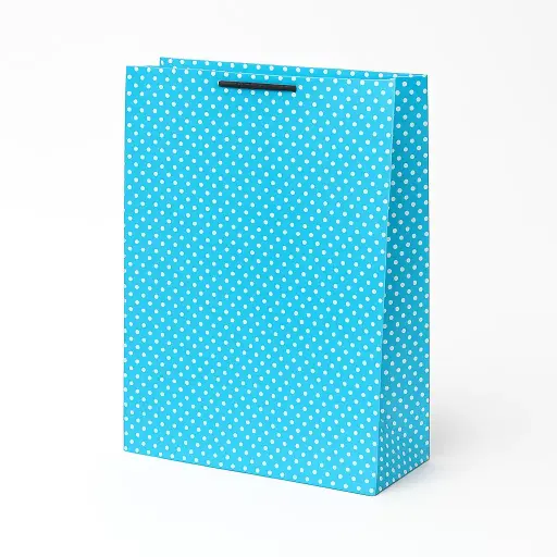 [H1605000000] H16 05 (4"x13"x17")