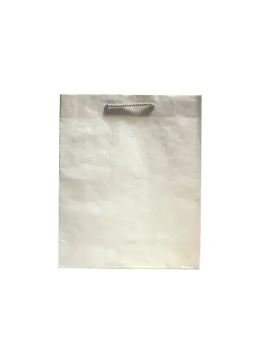 [H2617000000] H26 17