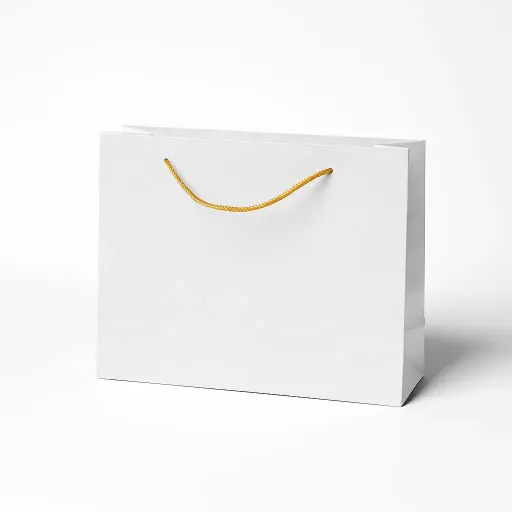[H2926000000] H29 26 (3.5"x10.5"x7") White Gift Bag | Perfect for  Birthday, Everyday Gifting, Wedding, Corporate, Special Occasion Gifting