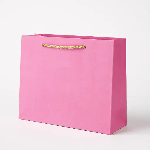 [H2928000000] H29 28 (3.5"x10.5"x7") Pink Gift Bag | Perfect for  Birthday, Everyday Gifting, Wedding, Corporate, Special Occasion Gifting