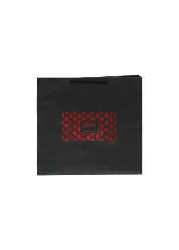 [H3106000000] H31 06