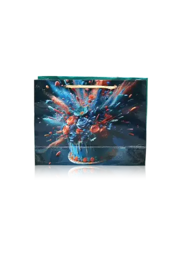 [H3001000000] H30 01