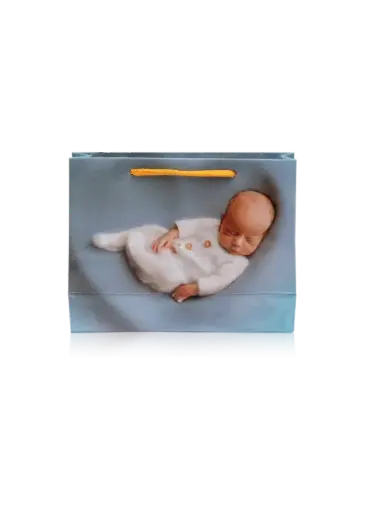[H3003000000] H30 03