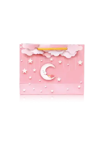 [H3004000000] H30 04