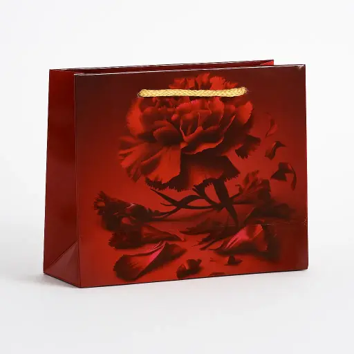 [H3009000000] H30 09 (2"x7"x5") Romantic Gift Bag | Perfect for  Wedding, Engagement, Anniversary, Special Occasion Gifting, Valentine's Day