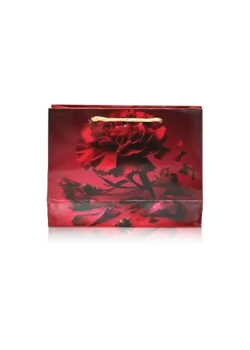 [H3009000000] H30 09