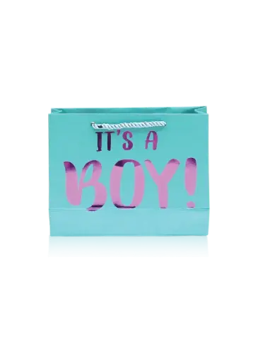 [H3021000000] H30 21