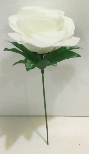 [F01WHITE000] Flowers F01 White