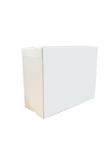 [B0909000000] B09 09