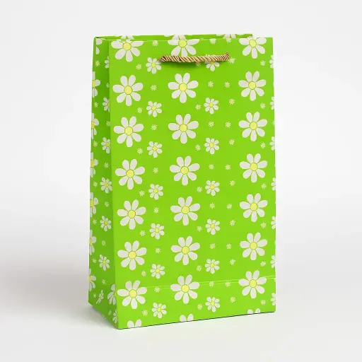 [H2721000000] H27 21 (3.5"x7"x11") Green Gift Bag | Perfect for  Birthday, Everyday Gifting, Wedding, Corporate, Special Occasion Gifting