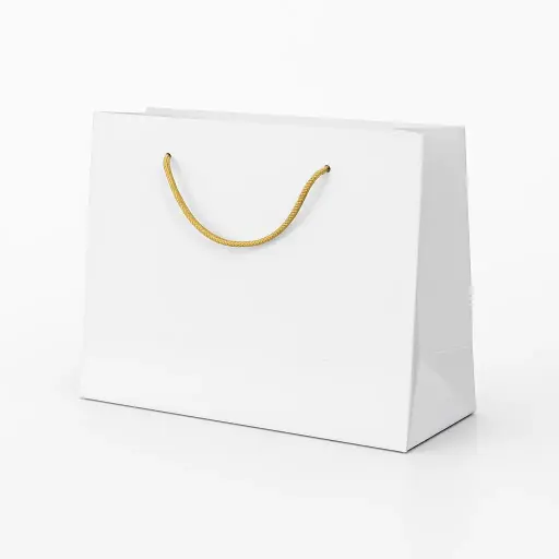 [H2932000000] H29 32 (3.5"x10.5"x7") White Gift Bag | Perfect for  Birthday, Everyday Gifting, Wedding, Corporate, Special Occasion Gifting