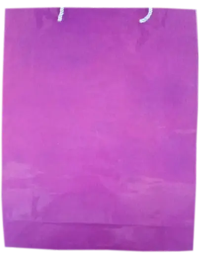 [H1609000000] H16 09
