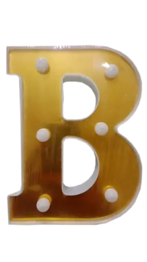 [TC0101B0000] TOYS B(LED LIGHT)