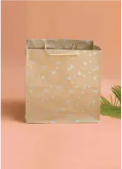 [H0420000000] H04 20 (8"x8"x8") Kraft Gift Bag | Perfect for Medium Items, Books, Accessories, Cosmetic Sets, Small Planters and Thoughtful Gifts