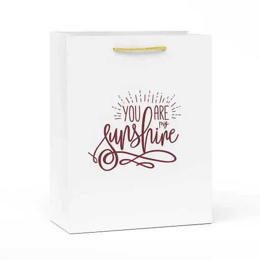 [H2636000000] H26 36 (4"x11"x14") White"You Are My Sunshine" Gift Bag | Perfect for  Wedding, Mothers Day, Friendship Day, Birthday, Special Occasion Gifting