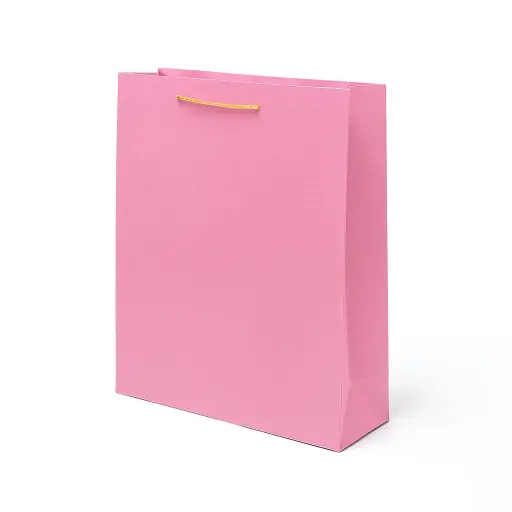 [H2631000000] H26 31 (4"x11"x14") Pink Minimalist Gift Bag | Perfect for  Wedding, Birthday, Corporate, Special Occasion Gifting
