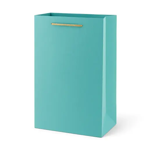 [H2724000000] H27 24 (3.5"x7"x11") Blue Gift Bag | Perfect for  Wedding, Birthday, Corporate, Special Occasion Gifting