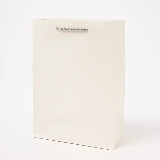 [H2640000000] H26 40 (4"x11"x14") Minimalist Cream Gift Bag | Perfect for  Wedding, Birthday, Corporate, Special Occasion Gifting