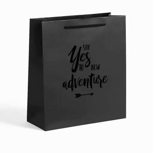 [H1720000000] H17 20 (4"x13"x12.5") Black Gift Bag | Perfect for  Wedding, New Beginnings, Graduation, Special Occasion Gifting