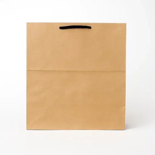 H08 04 (10"x11"x10") Kraft Gift Bag | Perfect for Medium to Large Items, Apparel, Home Goods and Special Occasion Gifts 