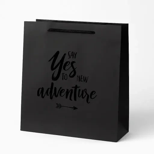[H1702000000] H17 02 (4"x13"x12.5") Black Gift Bag | Perfect for Birthdays, Wedding, Graduation, New Beginning Gifting 