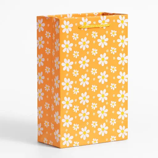 [H2717000000] H27 17 (3.5"x7"x11") Orange Gift Bag | Perfect for  Birthday, Everyday Gifting, Wedding, Corporate, Special Occasion Gifting