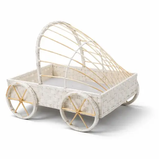 [K0606CANE00] K06 06