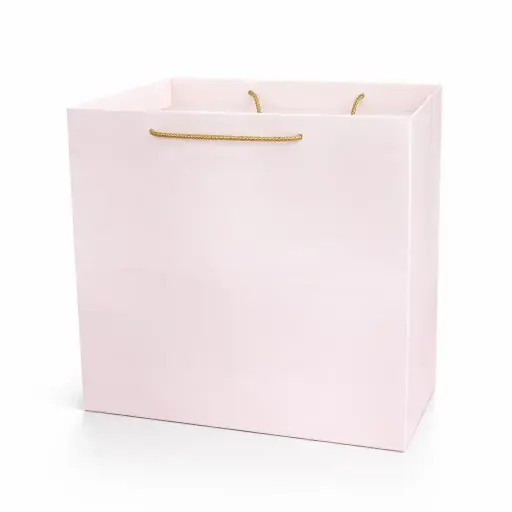 [H0605PINK00] H06 05 (9"x9"x8.5") Pink Plain Gift Bag | Perfect for Medium-Sized Items, Books, Small Apparel, Sweets, Cosmetic Sets, and Special Event Giveaways