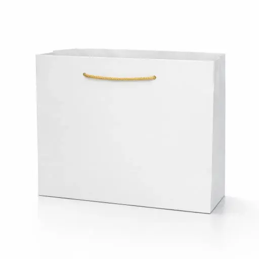 [H0320WHITE0] H03 20 (5.5"x7.5"x7.5") Plain White Gift Bag | Perfect for Birthday Gifts, Party Favors, Small Retail Items, Promotional Giveaways and Everyday Use