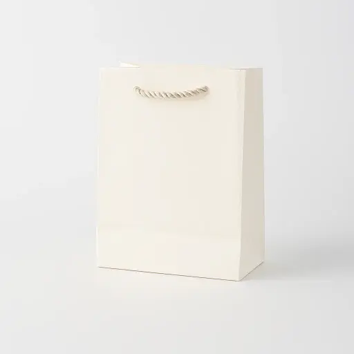 H01 01 (2.5"x4.5"x5.5")  White Matte Gift Bag | Perfect for Small Items, Accessories, Jewelry, and Delicate Gifts 