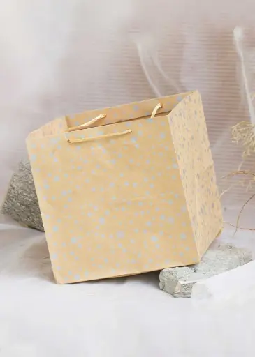 [H0304000000] H03 04 (5.5"x7.5"x7.5") Kraft Gift Bag | Perfect for Birthday Gifts, Party Favors, Small Retail Items, Promotional Giveaways and Everyday Use